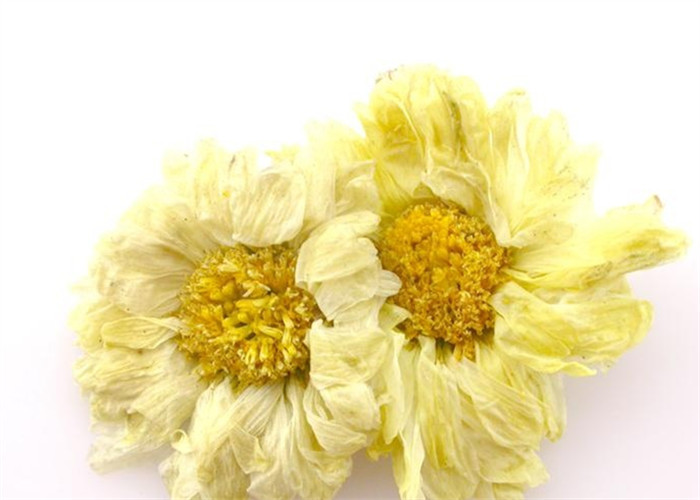  p> a href="#" data-lemmaid="488553">硫磺 /a>菊花就是用硫磺熏制