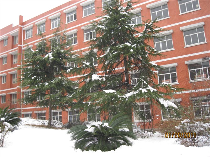 安徽省宿松中学