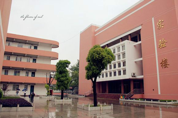 安庆市第十一中学