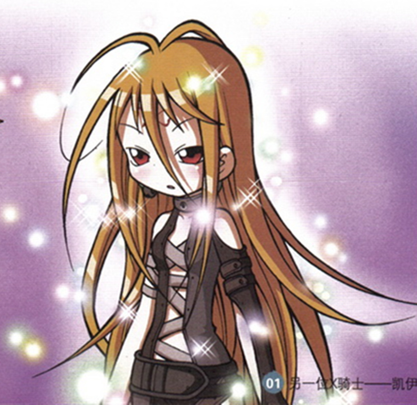 凯伊·雅思·德·布拉德