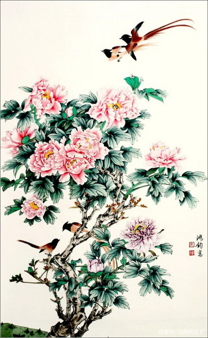 R　中国　安南　染付　花卉文　小壷　C　5934 21358】蝴蝶兰自己育苗，多久能开花？高芽多久可以开花// 静姐说
