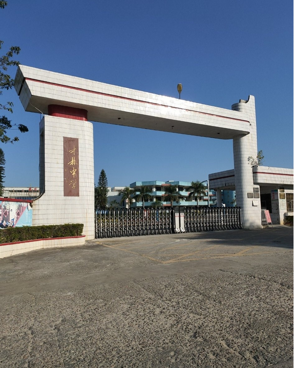 学校创建于1959年,名为揭阳县桂岭中学,1999年8月迁往桂岭镇才林中学