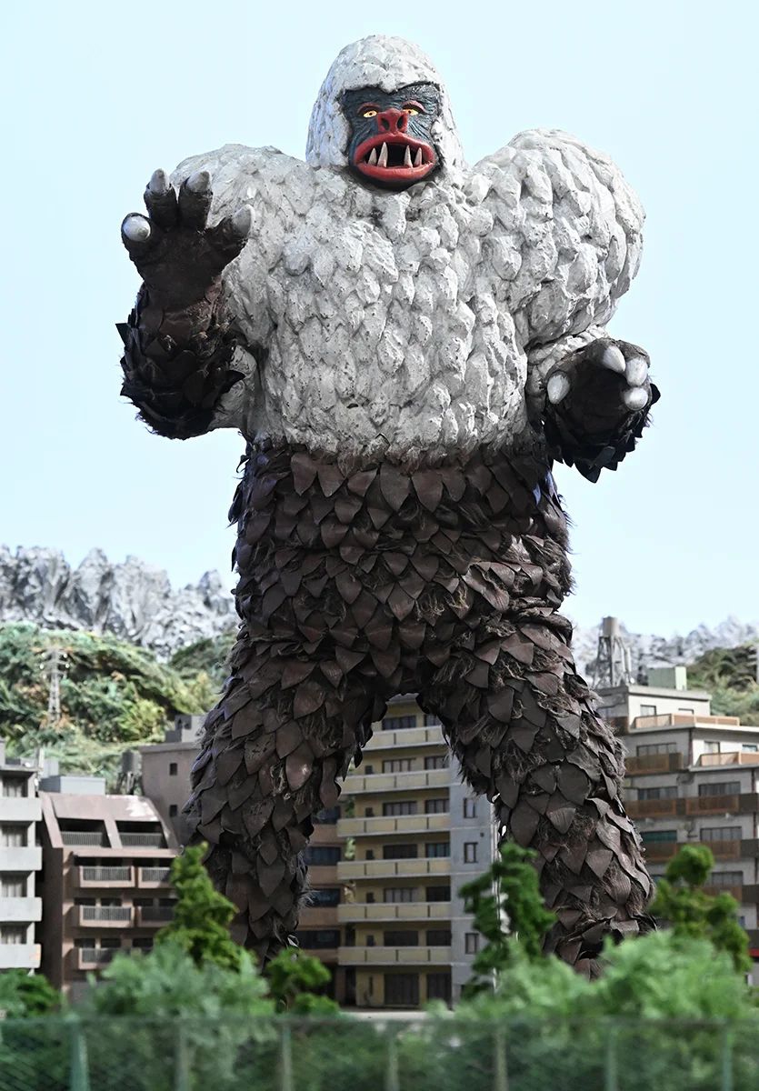 冷冻怪兽齐卡斯