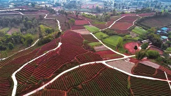  p>藕塘乡(已撤销),隶属于四川省眉山市仁寿县,地处 a target="_blank