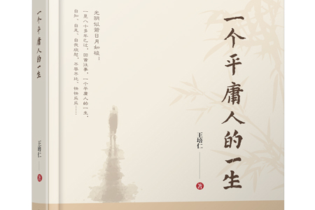 一个平庸人的一生