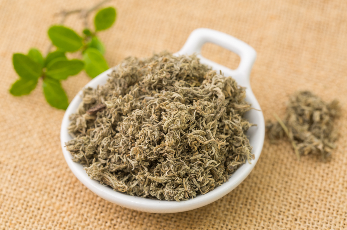  p>茵陈蒿(学名: i>artemisia capillaris /i> thunb.