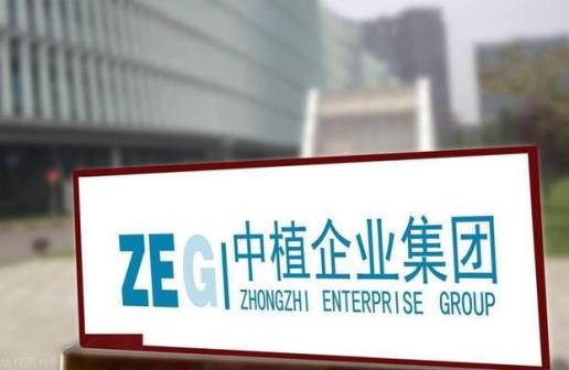 中植企业集团有限公司_百度百科