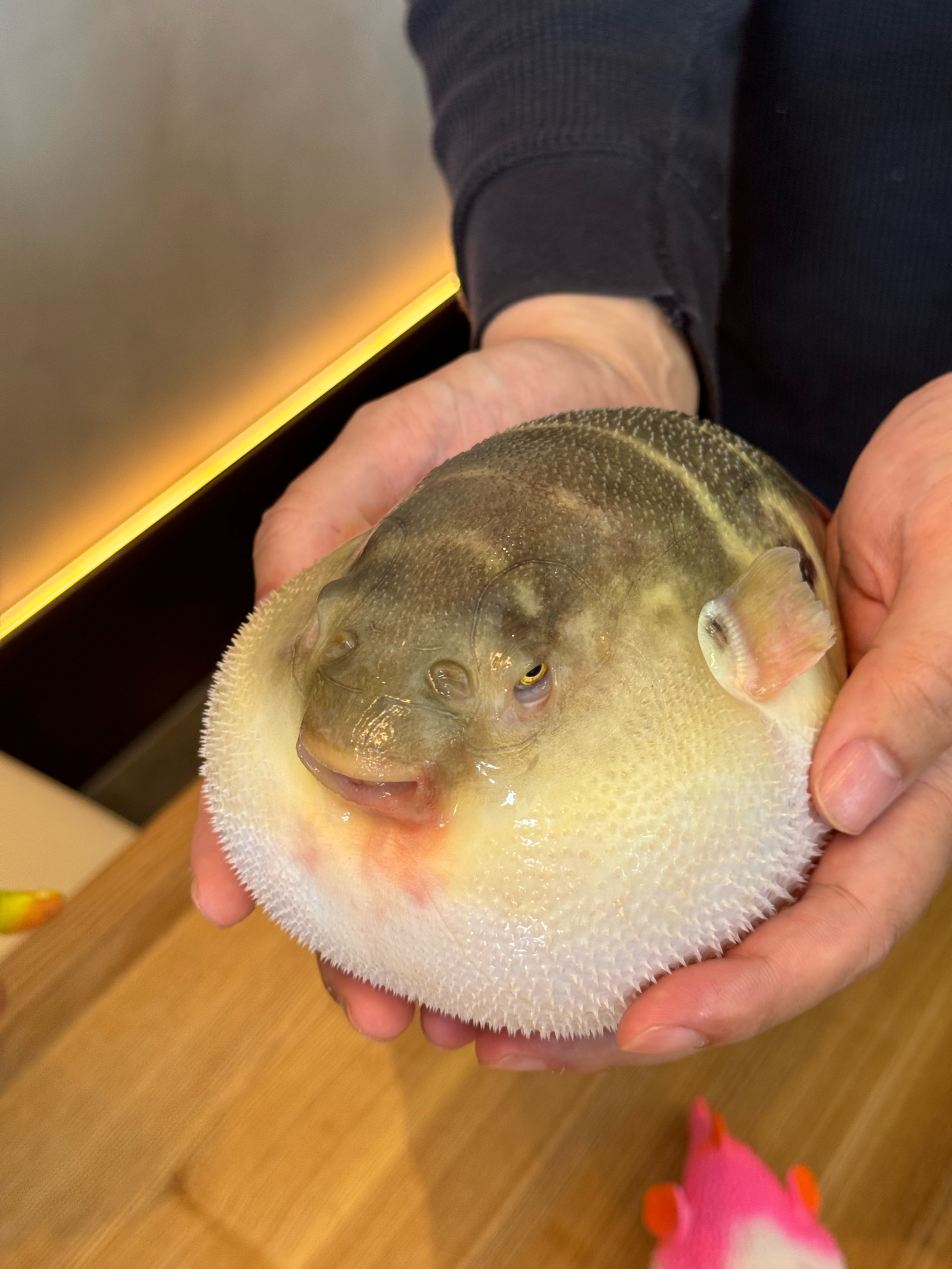 河鲀