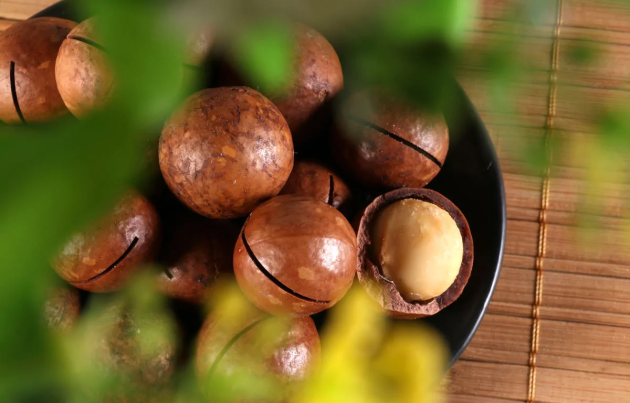  p>澳洲坚果属,分布于大洋洲和亚洲东南部,我国引入栽培的有澳洲坚果m