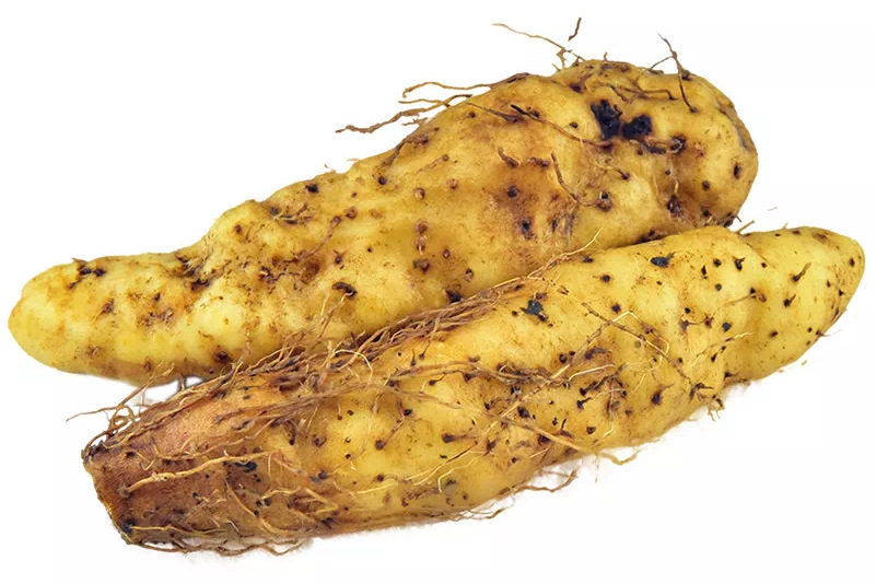  p data-id="tat5yqjwcaba">姜薯是薯蓣科薯蓣属缠绕藤本植物.