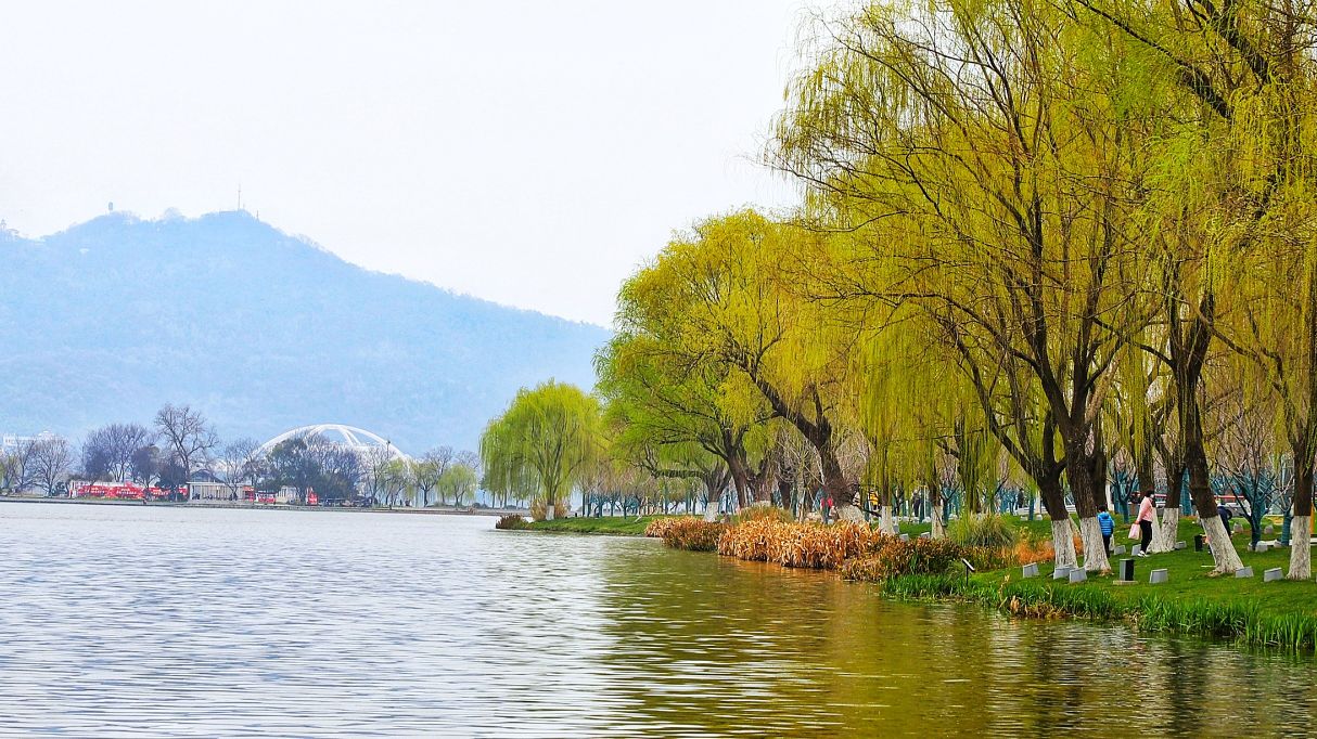  p>玄武湖位于 a target="_blank" href="/item/南京市/2207627" data