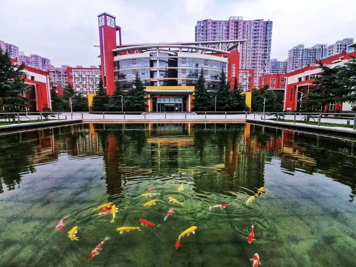 石家庄中学四十四中学