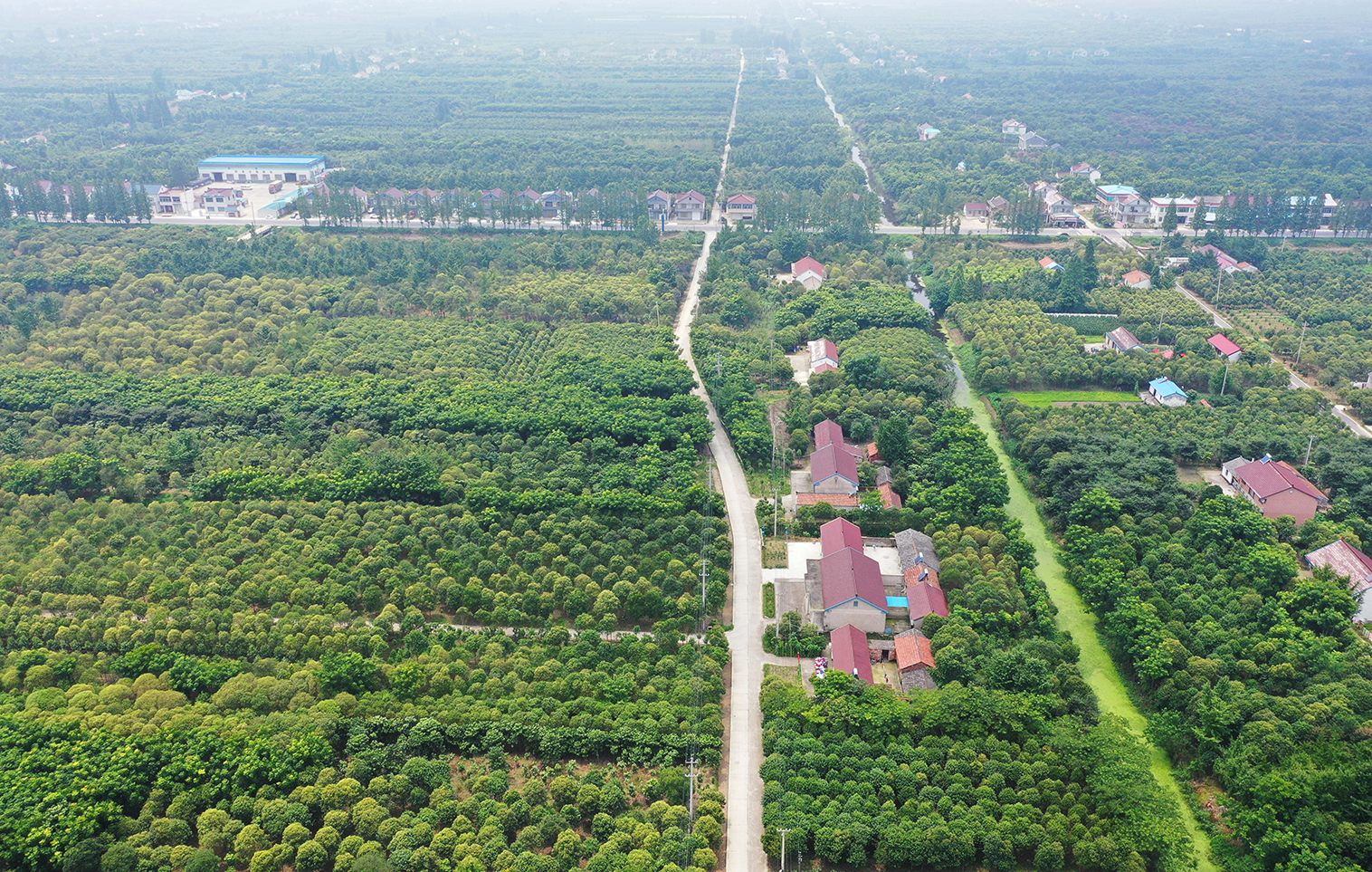  p>新街镇,隶属于江苏省盐城市东台市,地处 a target="_blank" href="