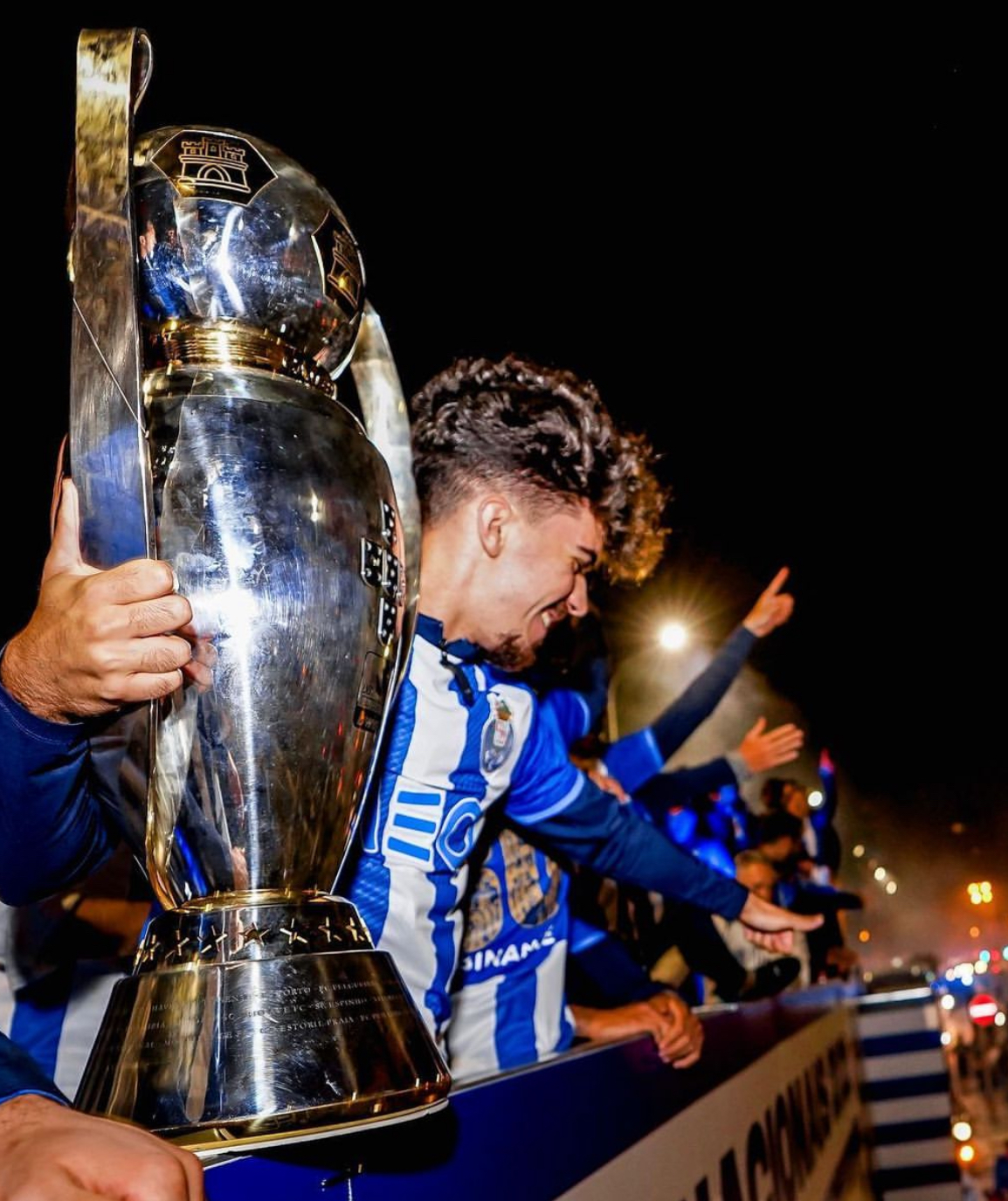 维蒂尼亚·费雷拉