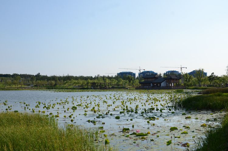  p data-id="gnhf5oxbii">海龙镇,隶属于吉林省通化市梅河口市,地处 a