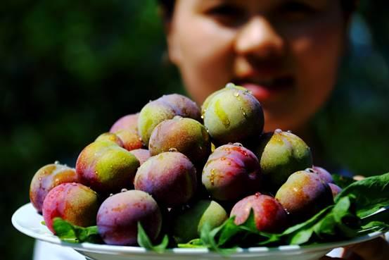 云南省昭通市 a href="#" data-lemmaid="8606950">绥江县 /a>特产