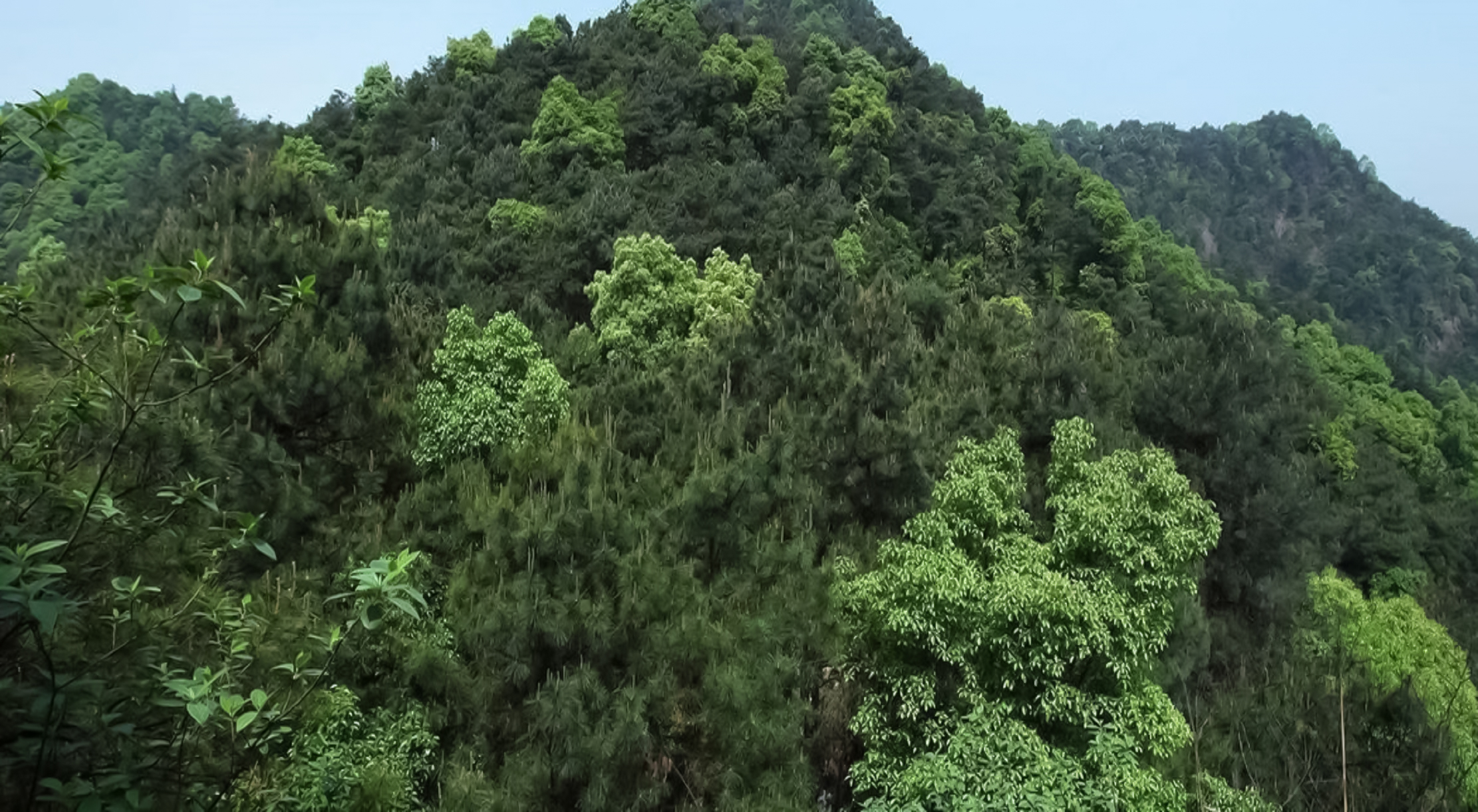 圣灯山森林公园