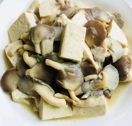 平菇烧豆腐