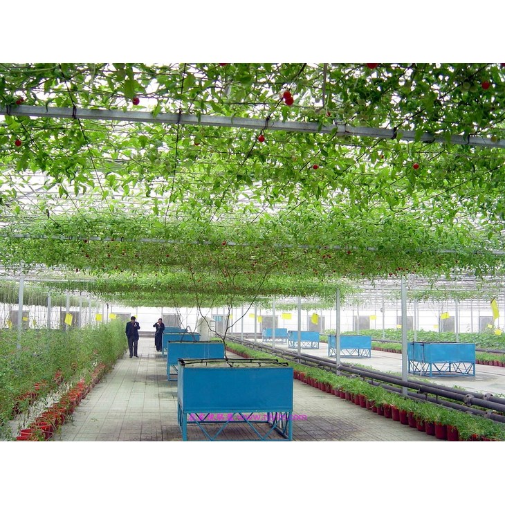 锦绣大地农业观光园区