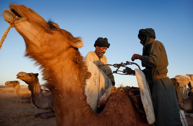 b137a8">柏柏尔人是世居 a target="_blank" href="/item/北非/16580"