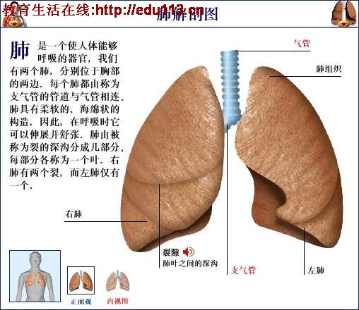 呼吸