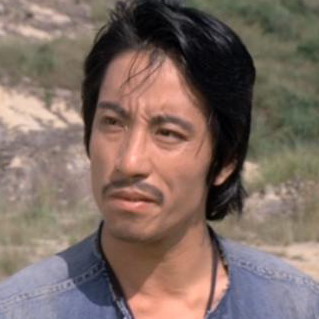  p>鲁俊谷,原名王振仰,福建金门人,1946年出生,1962年移居香港.