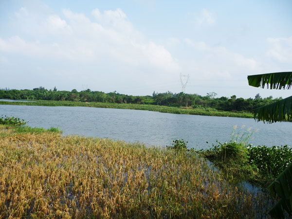  p data-id="gnwwu15ejb">玉龙湖风景区位于泸县东部立石镇,毗卢镇