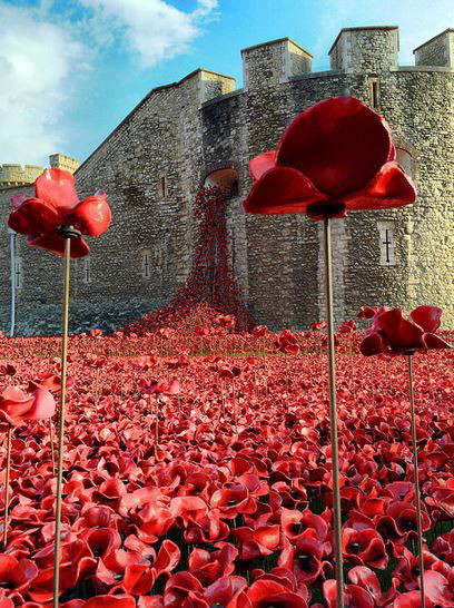 swept lands and seas of red,tower of london poppies): /p> p>2014