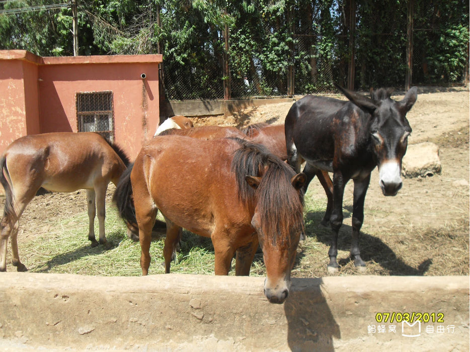 厦门海沧动物园