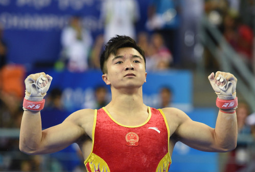 2014年世锦赛吊环决赛