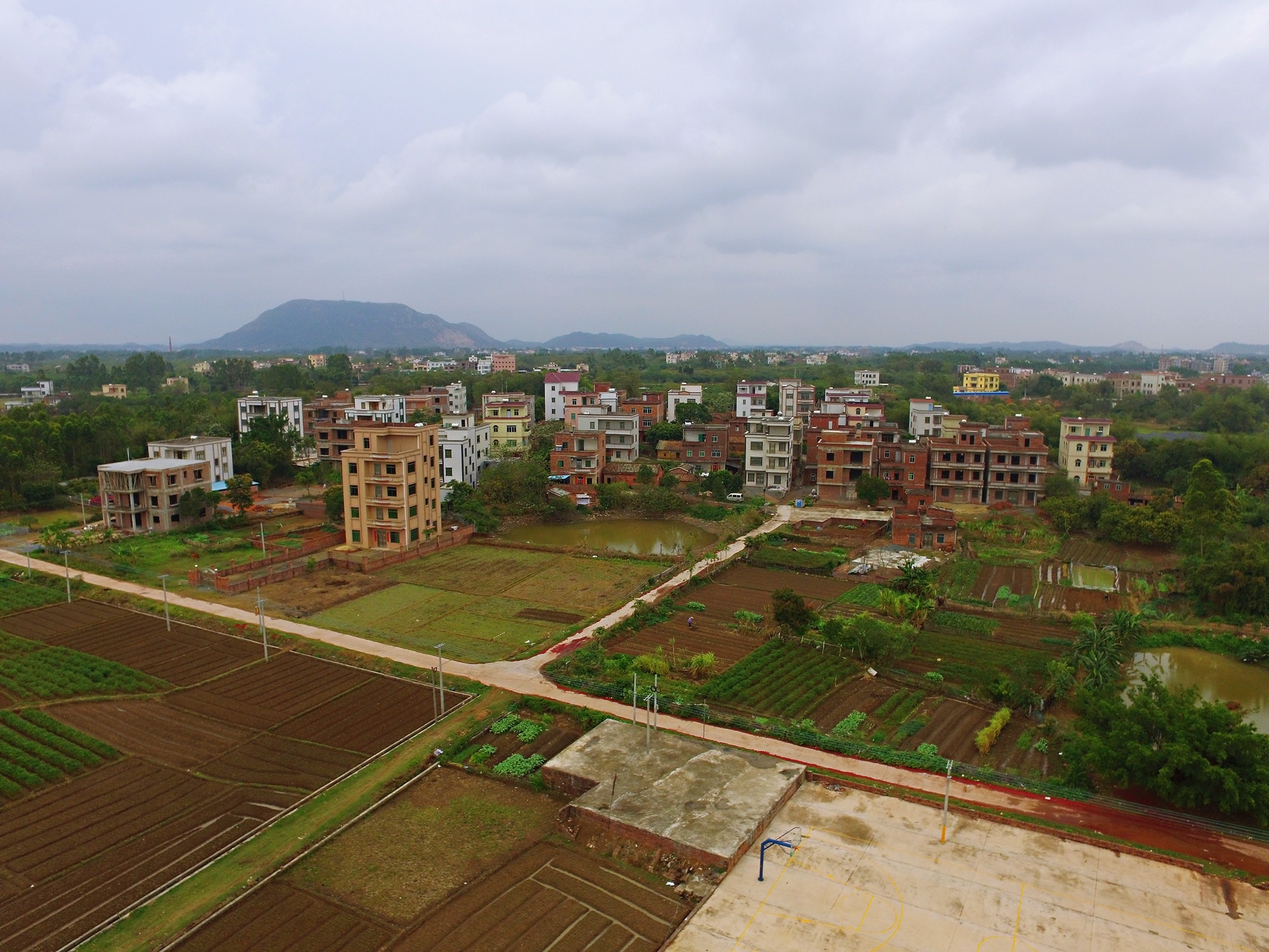  p>广东省 a target="_blank" href="/item/高州市石鼓镇/10027585"