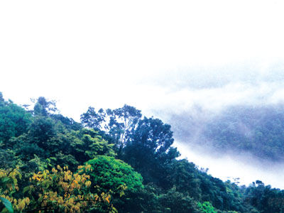 大封门森林公园