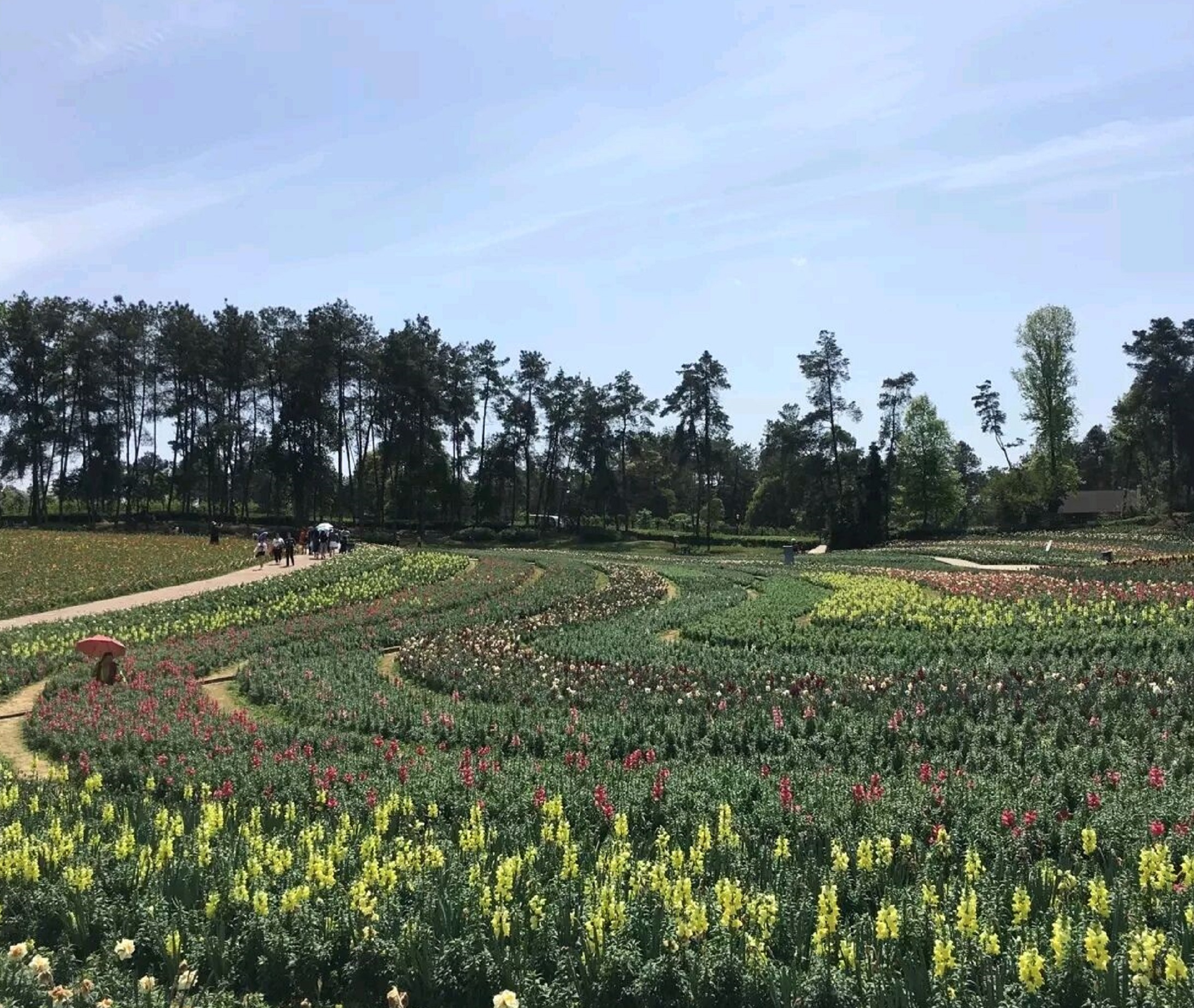  p> a target="_blank" href="/item/石象湖生态风景区/1348752" data