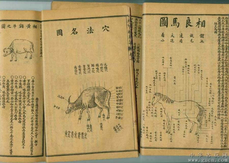  p>《马经》一书见于《 a target="_blank" hre