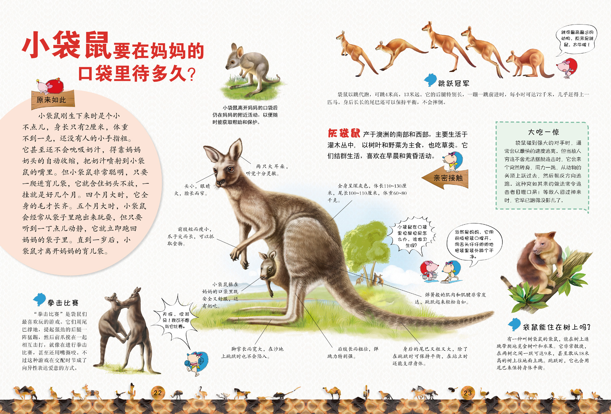 趣味图解动物大百科