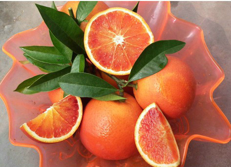 p>塔罗科血橙苗(blood orange)是橙(citrus sinensis)的变种,俗称红橙