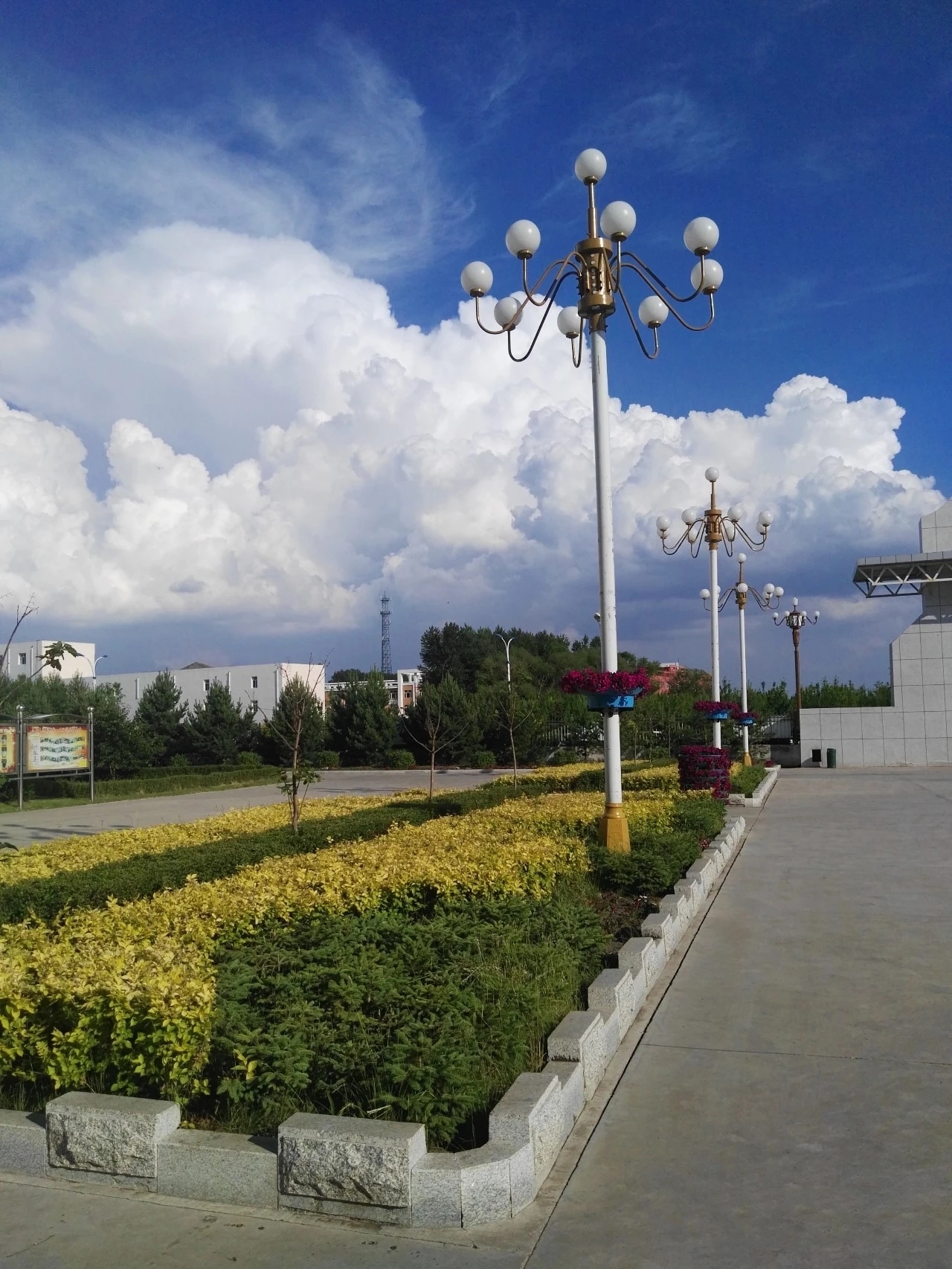 data-lemmaid="287003">哈尔滨师范大学 /a>青冈实验中学是青冈县政府