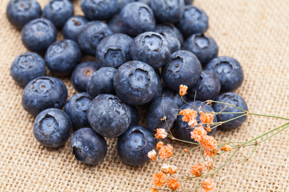  p>蓝莓,又名笃斯,黑豆树(大兴安岭), a target="_blank" href="/item