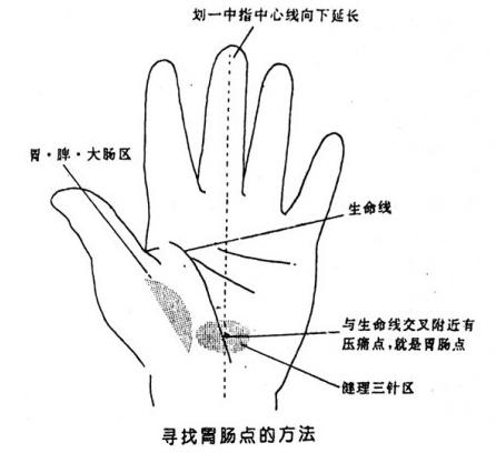 胃肠穴