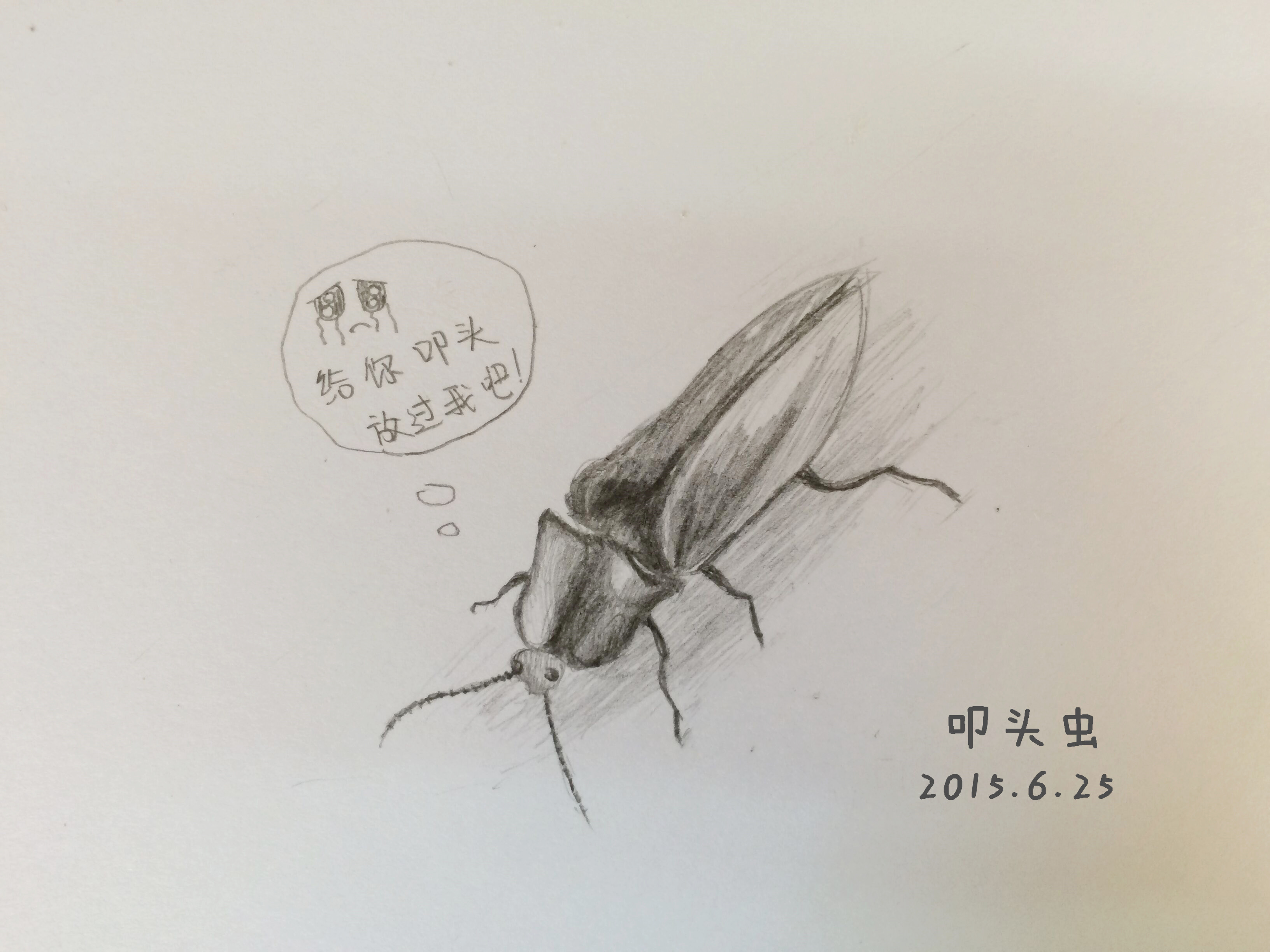 谷堆自然社