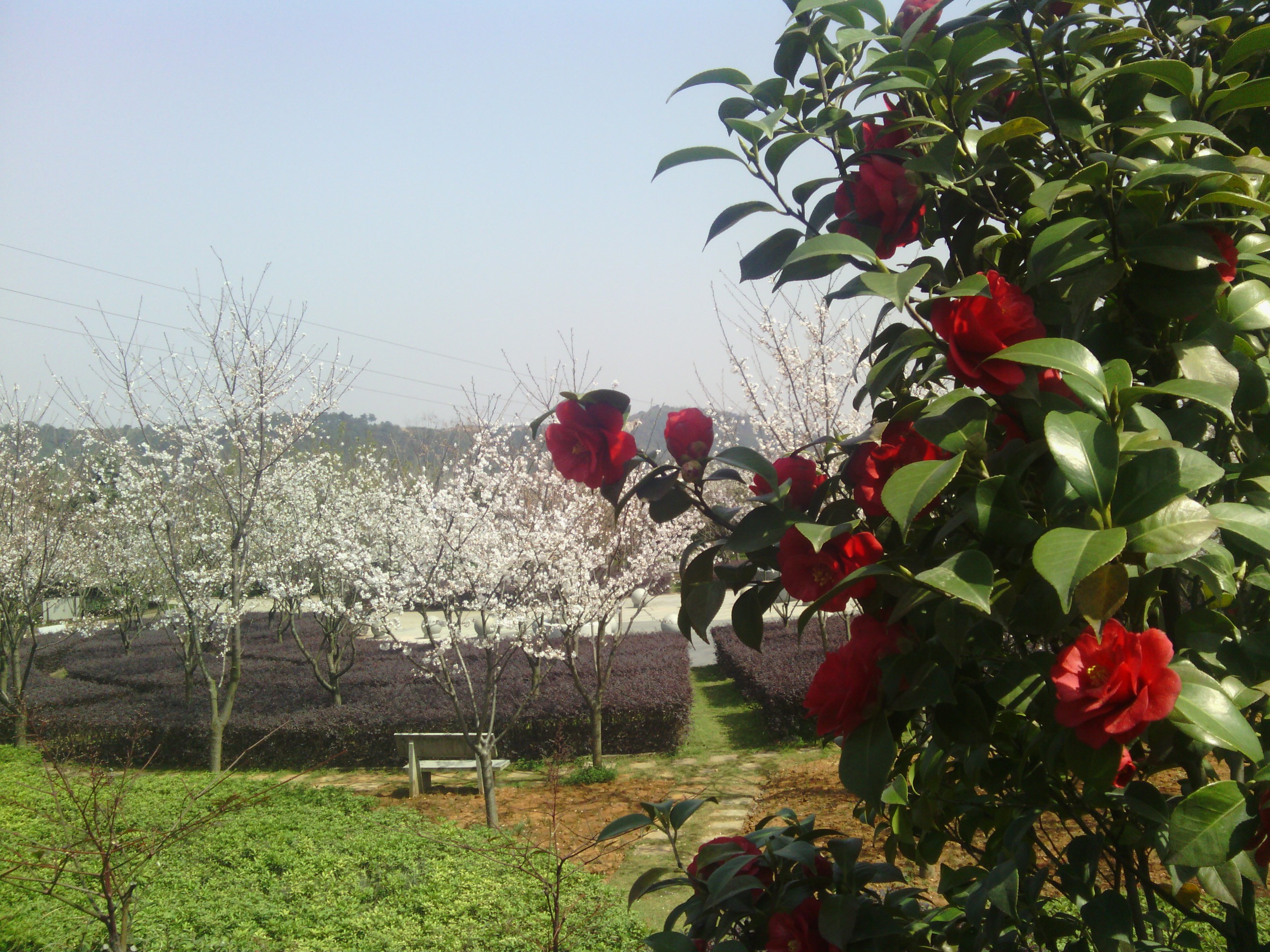 武汉幸福山生命公园