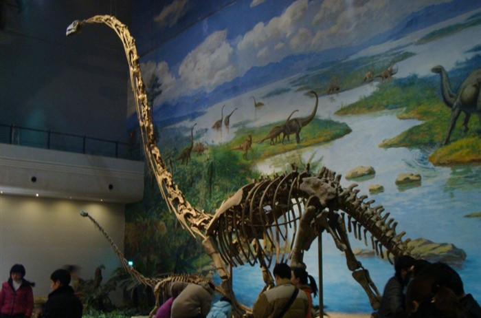 天府峨嵋龙(o.tianfuensis)