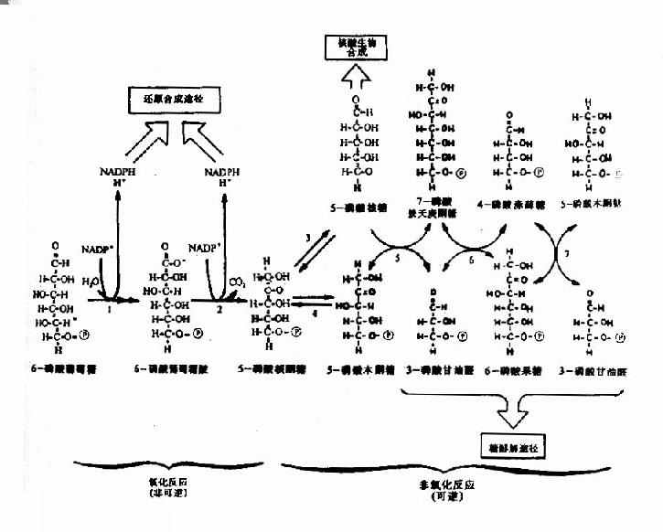 irreversible reaction