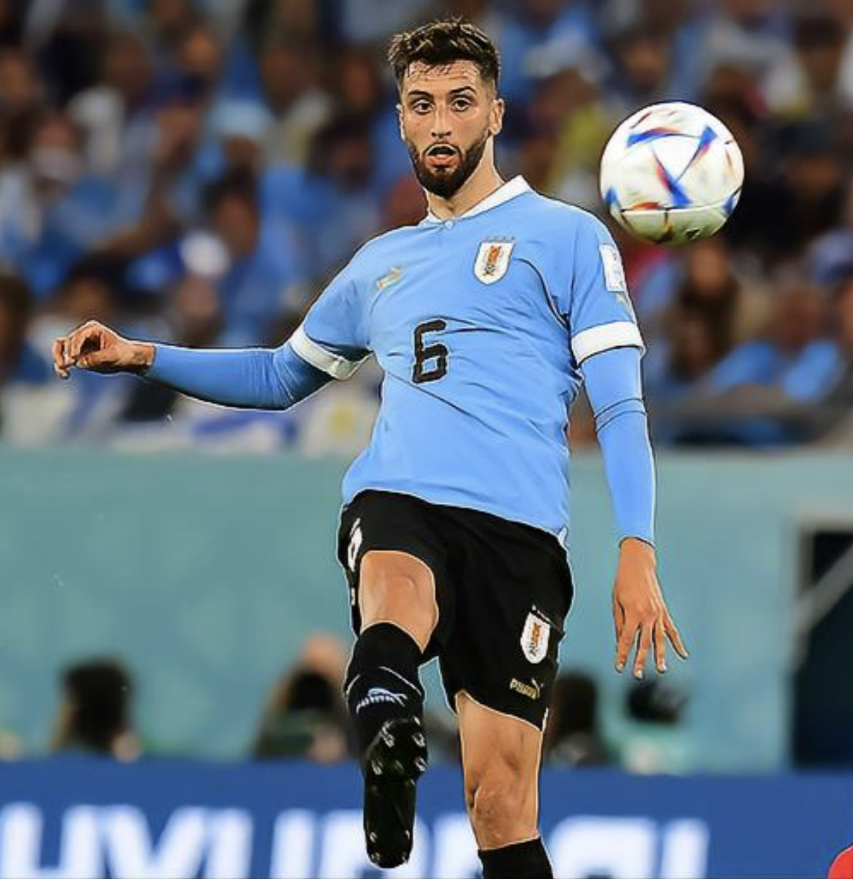 罗德里戈·本坦库尔