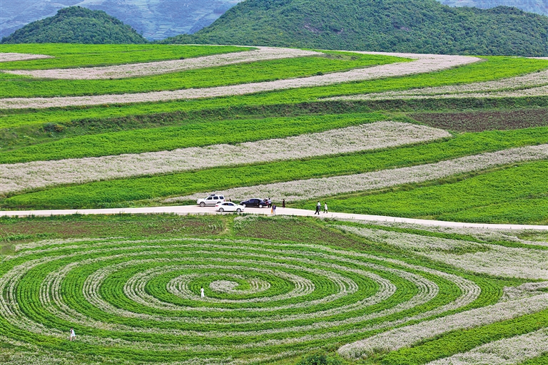 威宁县板底乡曙光村,威宁县板底乡雄鹰村_大山谷图库