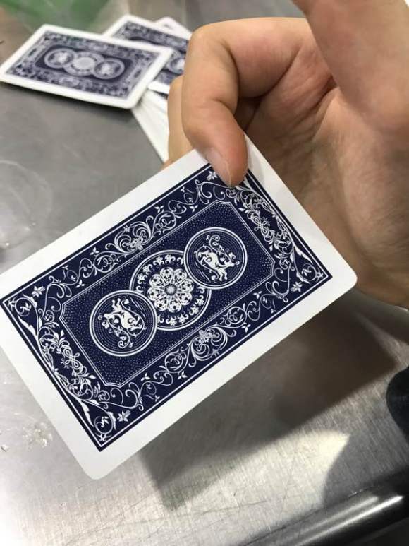  p data-id="gnbppfpn7q">飞牌为飞牌运动和 