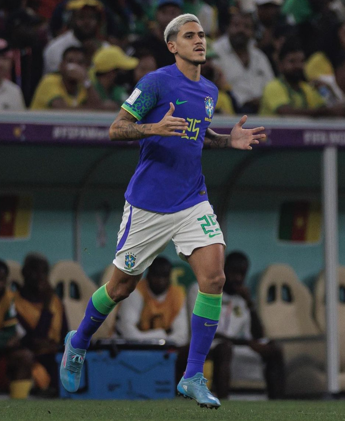 佩德罗·吉列尔梅·阿布雷乌·多斯·桑托斯