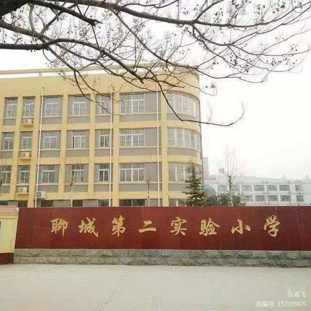 聊城实验小学 全网资源