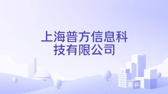 上海普方信息科技有限公司_百度百科