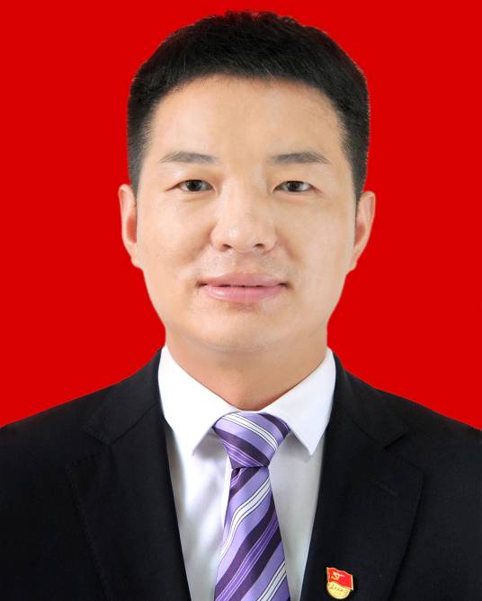 王敏（湖北省武汉市东西湖区委书记、区人武部党委第一书记）_百度百科
